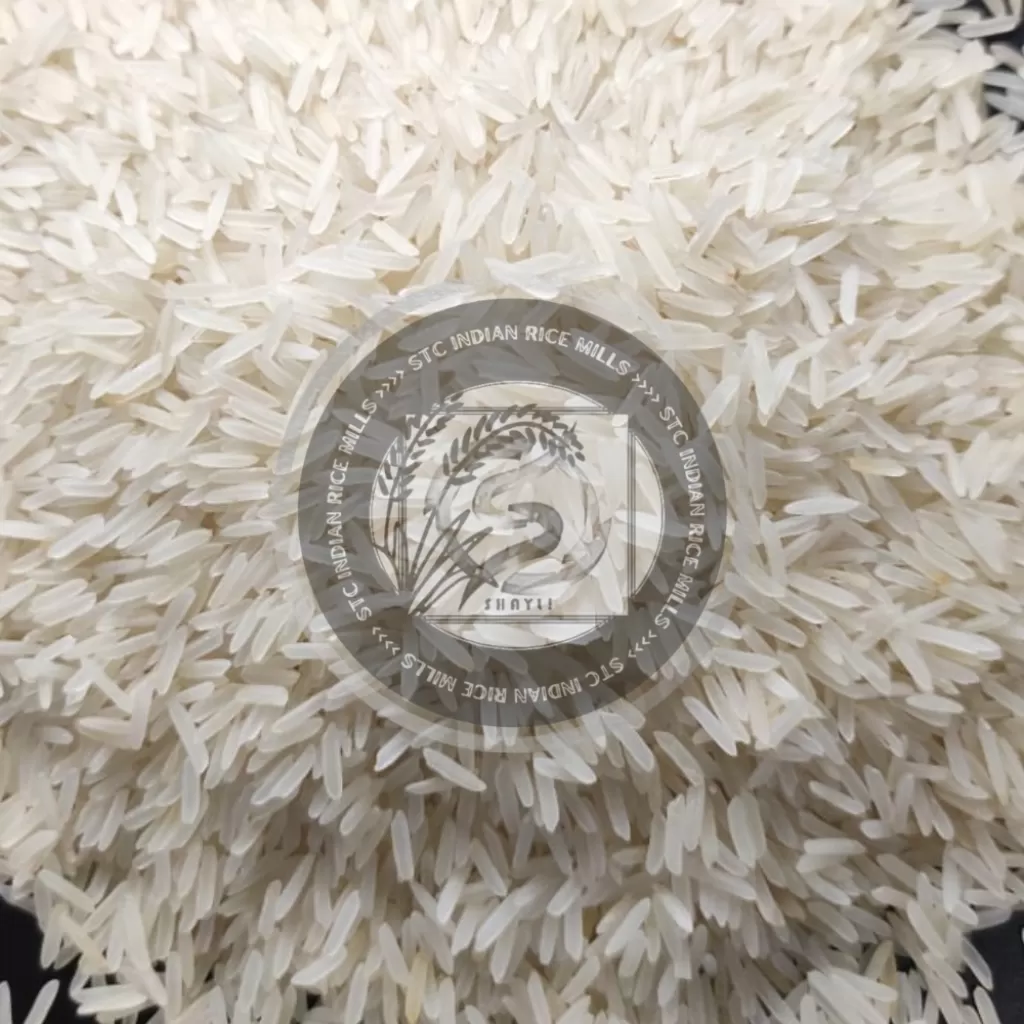 Indian 1509 White/Creamy Sella Basmati Rice (AGL: 8.40MM)