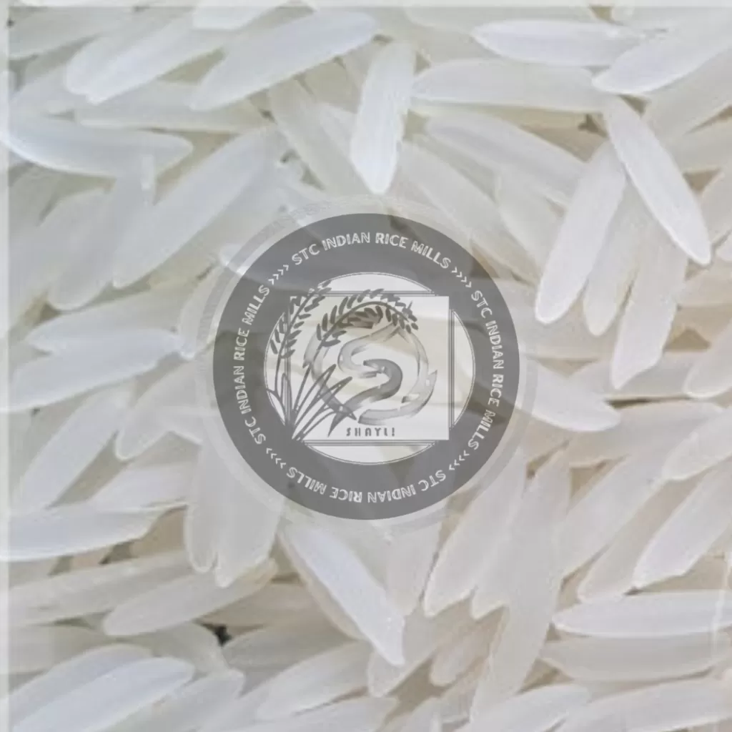 Indian Traditional White/Creamy Sella Basmati Rice (AGL: 7.25MM)