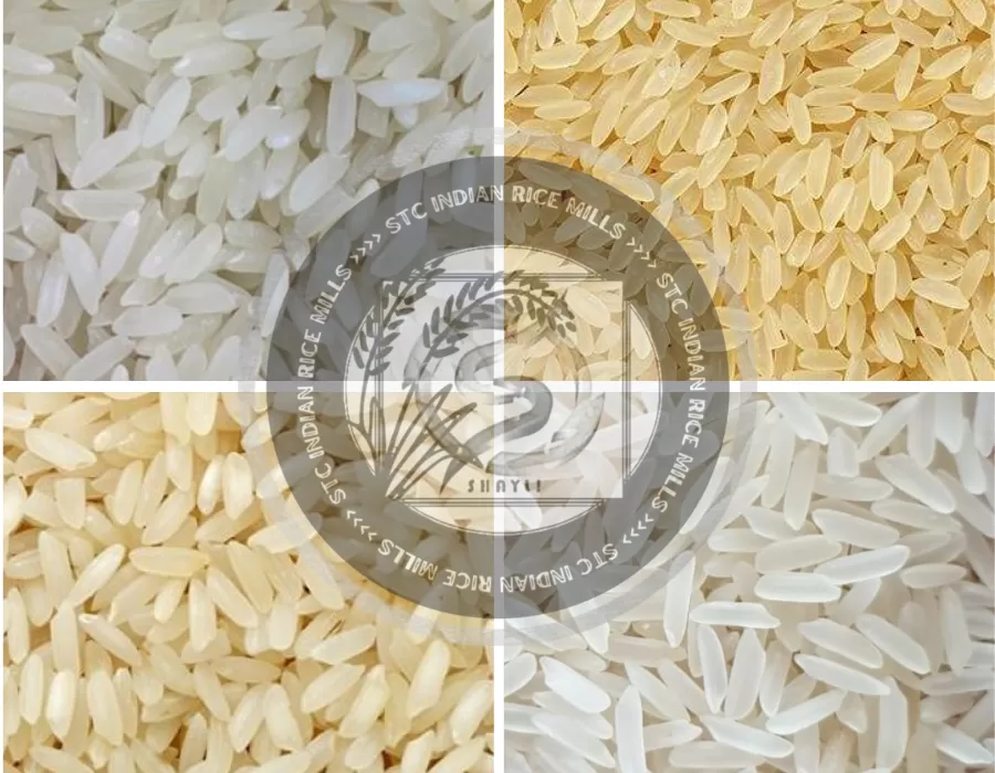 Indian Non-Basmati Rice