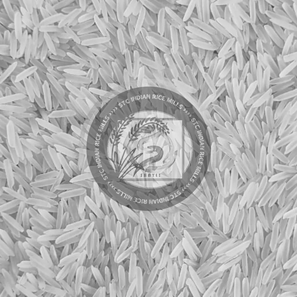 Pusa Raw Basmati Rice