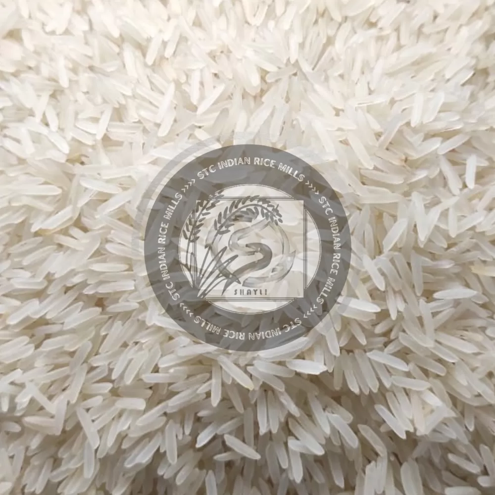 Indian 1509 Pesticides Residue Free White/Creamy Sella Basmati Rice (AGL: 8.40)