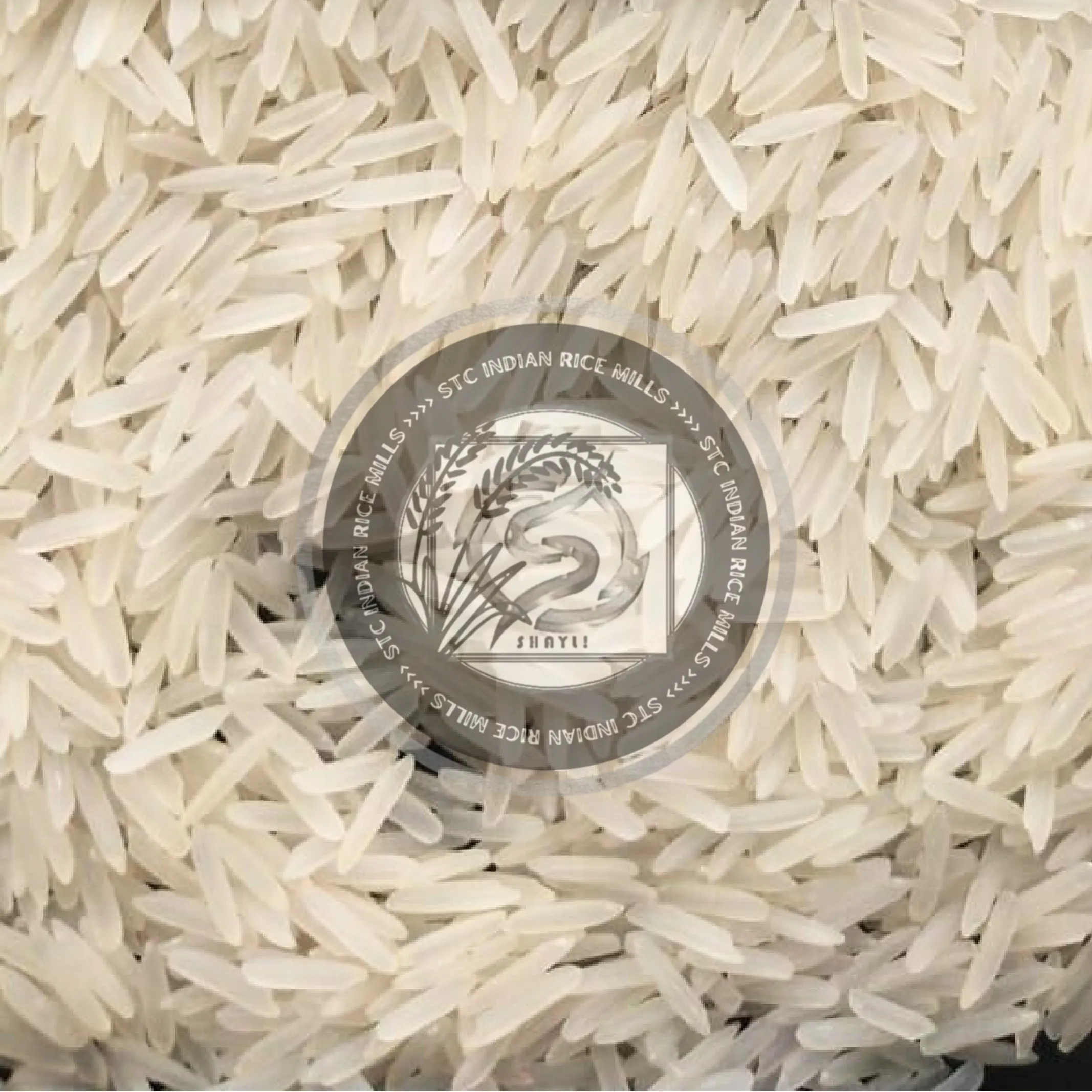 1121 White/Creamy Sella Basmati Rice